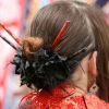 Cover for Japantag 2007