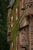 2007-05-27_095.jpg