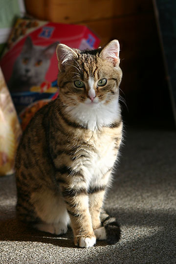 2006-02-24_054.jpg