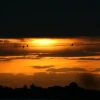 Cover for Sonnenuntergänge