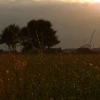 Cover for Sonnenuntergänge