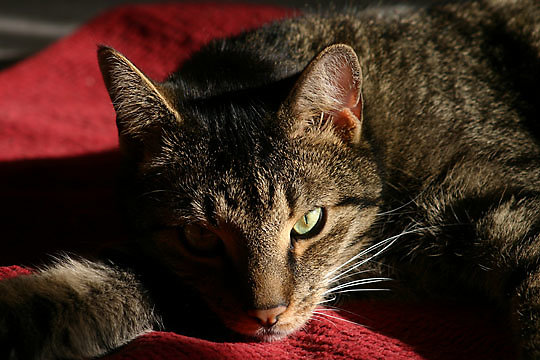 2006-10-07_013.jpg
