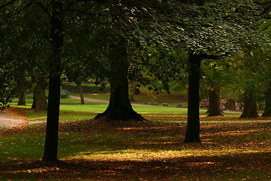 2006-10-12_007.jpg