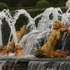 IMG_3896.jpg