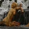 IMG_3897.jpg