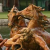 IMG_3916.jpg