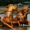 IMG_3923.jpg