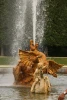 IMG_4261.jpg
