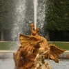 IMG_4261.jpg
