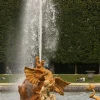 IMG_4266.jpg