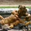 IMG_0596.jpg