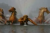 IMG_0651.jpg