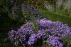 IMG_0936.jpg