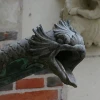 IMG_1245.jpg
