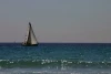 IMG_0329.jpg