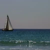 IMG_0329.jpg