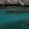 IMG_0395.jpg