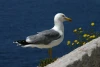 IMG_0766.jpg