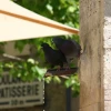 IMG_1048.jpg