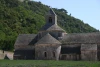 IMG_1062.jpg