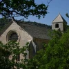 IMG_1078.jpg