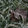 2008-01-02_001.jpg