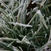 2008-01-02_003.jpg