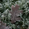 2008-01-02_006.jpg