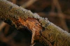 2008-01-02_008.jpg