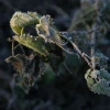2008-01-02_013.jpg