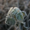 2008-01-02_021.jpg