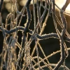 2008-01-02_033.jpg