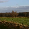 2005-01-08_031.jpg