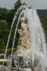 IMG_3992.JPG