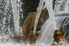 IMG_4050.JPG