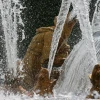 IMG_4050.JPG