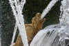 IMG_4065.JPG