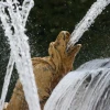 IMG_4065.JPG
