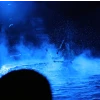 IMG_4946.jpg