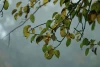 2008-10-25_024.jpg