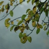 2008-10-25_024.jpg