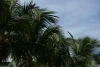IMG_6609.JPG
