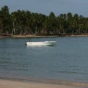 IMG_6849.JPG