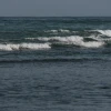 IMG_6852.JPG