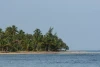 IMG_6853.JPG