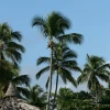 IMG_6862.JPG