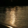 IMG_6901.JPG