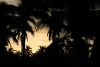 IMG_6923.JPG