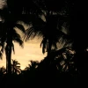 IMG_6923.JPG