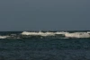 IMG_6978.JPG